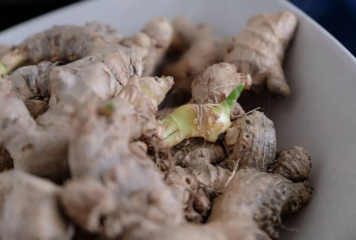 How to plant ginger in a pot