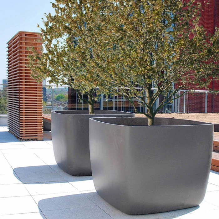 Giant plant pots for trees